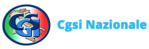 CGSI Nazionale